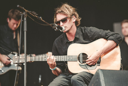 the wombats